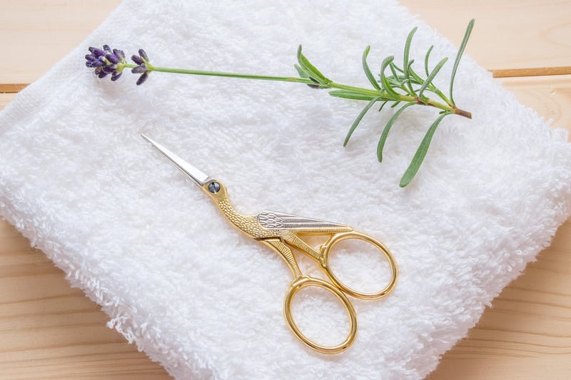 Upcycling scissors